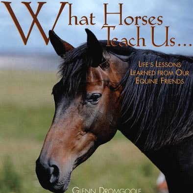 What Horses Teach Us® Book for wholesale by Willow Creek Press & Gifts