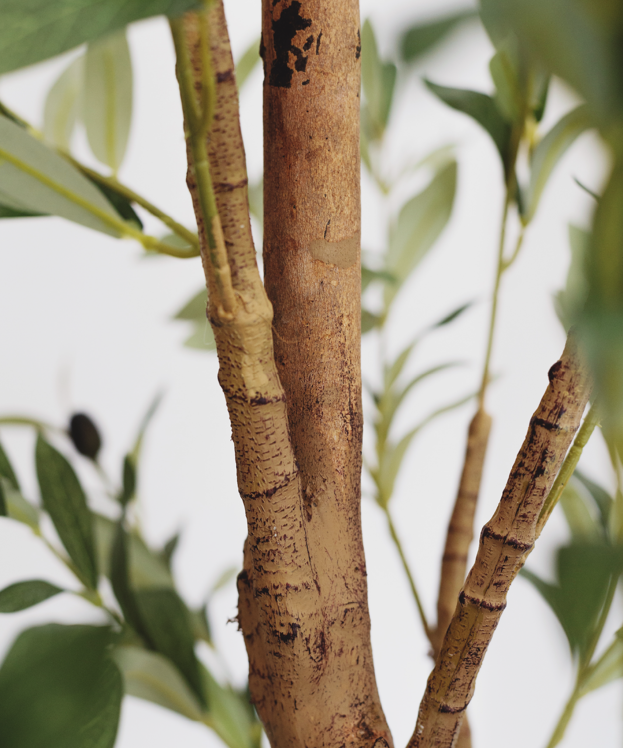 Maia Shop: No Duties for the US - Wholesale Artificial Plant - 6' Minimal Artificial Olive Tree 1