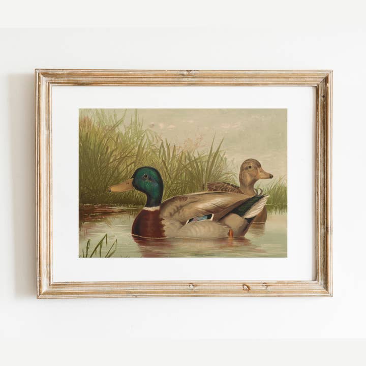 Ducks on the Pond Antique Art Print for wholesale by Sea to Skye