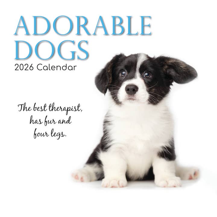 2026 Square Wall Calendar - Adorable Dogs
for wholesale by The Gifted Stationery Company