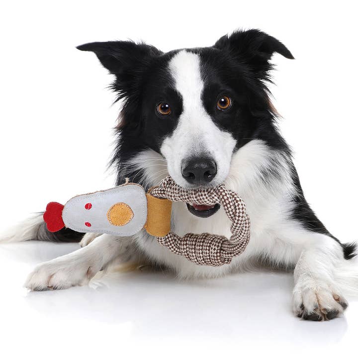 Outback Tails - Wholesale Pet rope toy – Dog - Country Tails Chicken Rope Ring Toy1