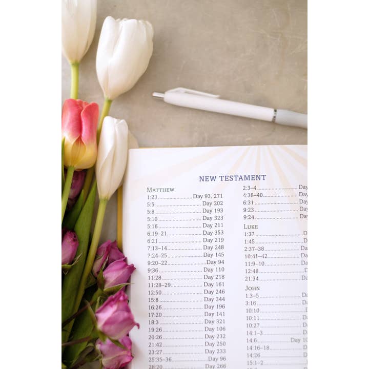 Barbour Publishing, Inc. - Wholesale Religion - She Will Persevere8