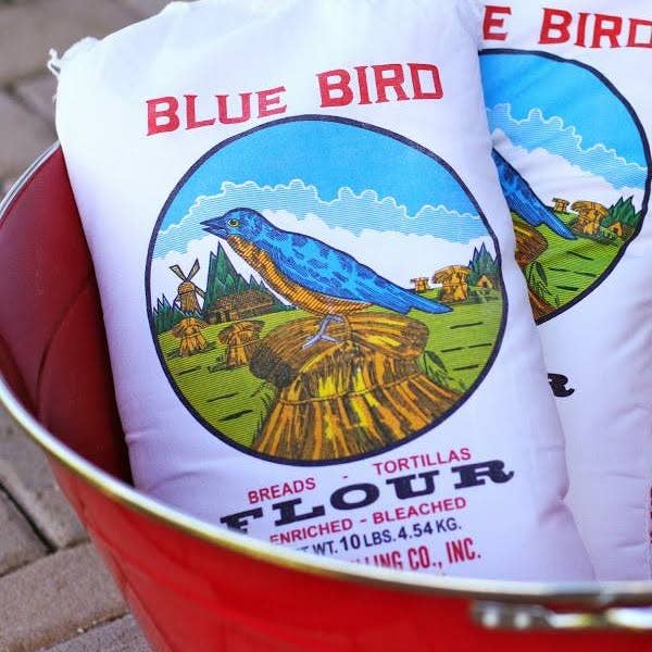 Parker Homestead - Wholesale Flour - Blue Bird Native American Frybread Flour packed in a 5 lb Reusable Cotton Bag. Perfect for Breads, Donuts, Cakes, and Pastries.2