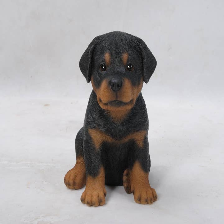 Hi-Line Gift Ltd. - Vente Bibelots/décorations d'extérieur - Chiot Rottweiler