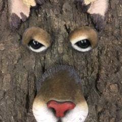 Tête de couguar pour la vente par Natures Window