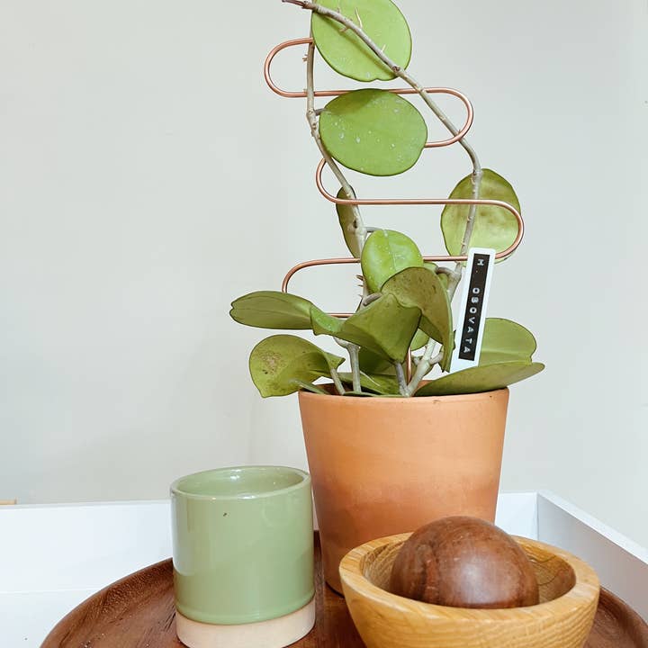 Copper & Needle - Wholesale Trellis - Squiggle Copper Trellis