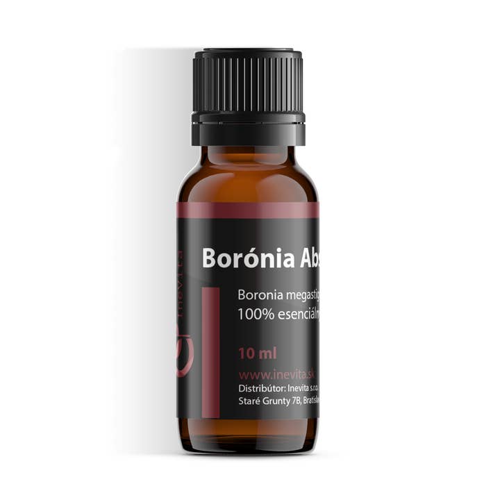 Boronia Absolute Oil for wholesale by Inevita