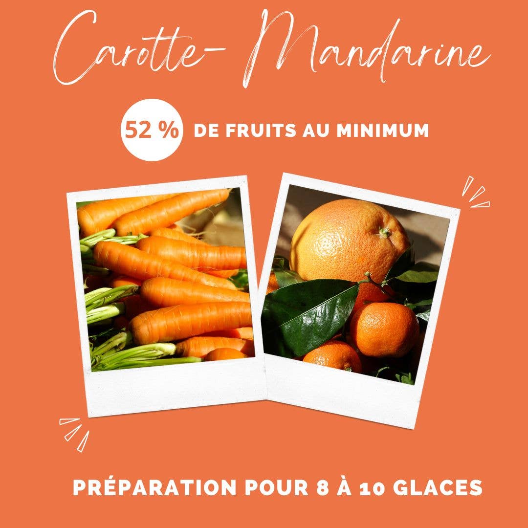 Crocandiz – snacks e guloseimas - Cão por atacado – Sorvete para cães de cenoura e tangerina3