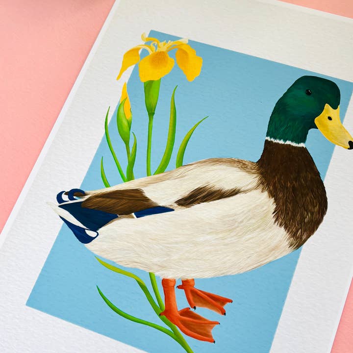 Pixiecraft - Wholesale Art Print - Mallard Duck Art Print- British Wildlife Illustration for Nature Lovers5