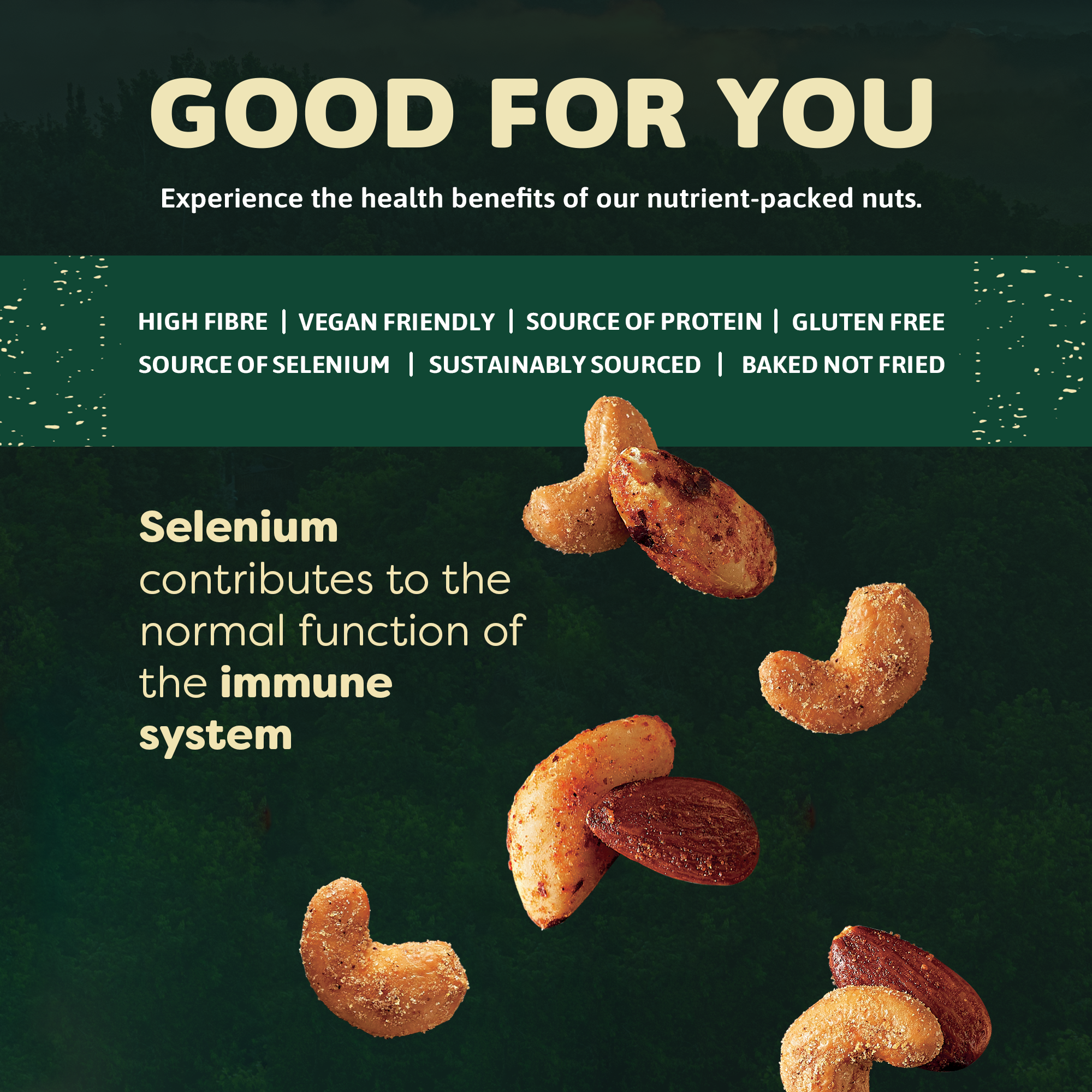 Truly Nuts! – wholesale Nuts – MIXED NUTS - Smoked Flavour11