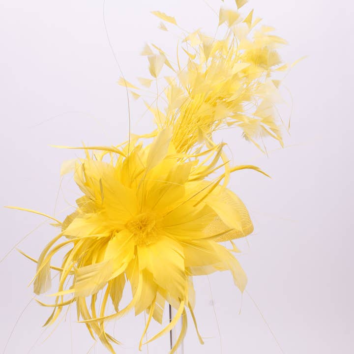 KaKyCo - Wholesale Fascinator hat – Women's - Small Base With Variety Feather On Top Fascinator | AJ780S13