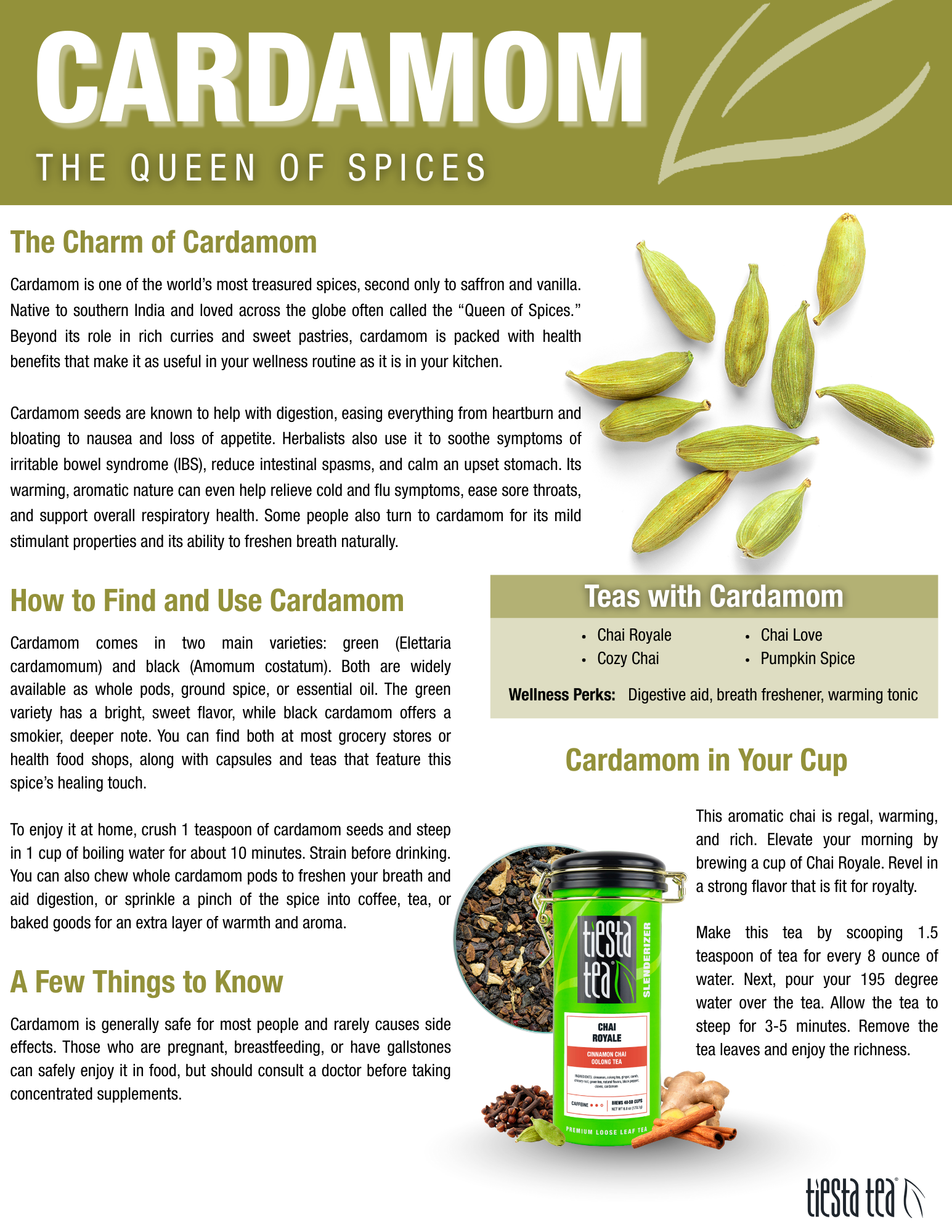 Tiesta Tea Company (loose leaf teas & accessories) - Wholesale Loose tea - Pumpkin Spice Tea | Spiced Pumpkin Rooibos Loose Leaf15