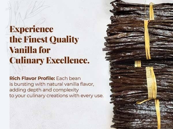 Akshit – Engroshandel Vanilje-/frugtekstrakt – 25 vaniljestænger Grade A 6" - 8" vaniljestænger til smagstilsætning2