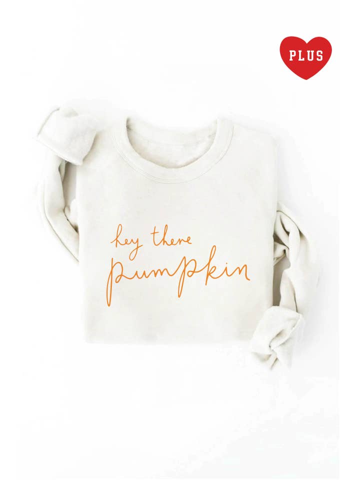 OAT COLLECTIVE - Wholesale Graphic Sweatshirt - Women's - HEY THERE PUMPKIN Plus Graphic Sweatshirt16