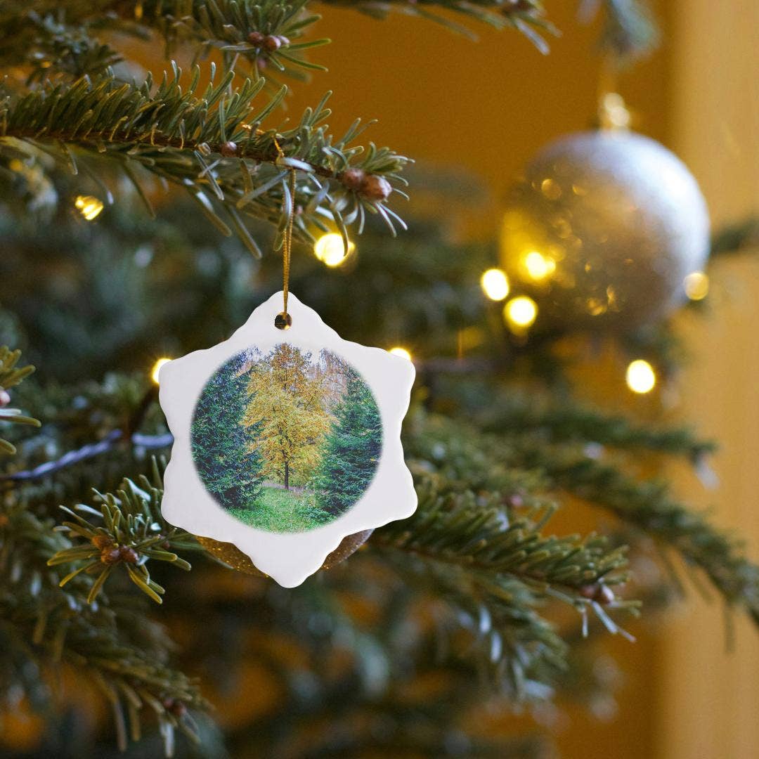 3dRose - Wholesale Ornament - 3dRose, Young oak tree between two fir trees on a wet autumn day, Ornament6