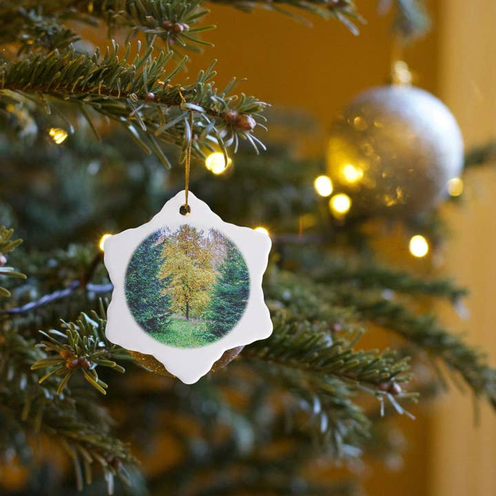 3dRose - Wholesale Ornament - 3dRose, Young oak tree between two fir trees on a wet autumn day, Ornament6