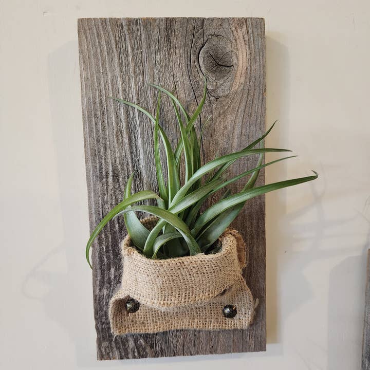 Love Reclaimed - Wholesale Wall Planter - Burlap & Wood Wall Planter (Air Plants Included)