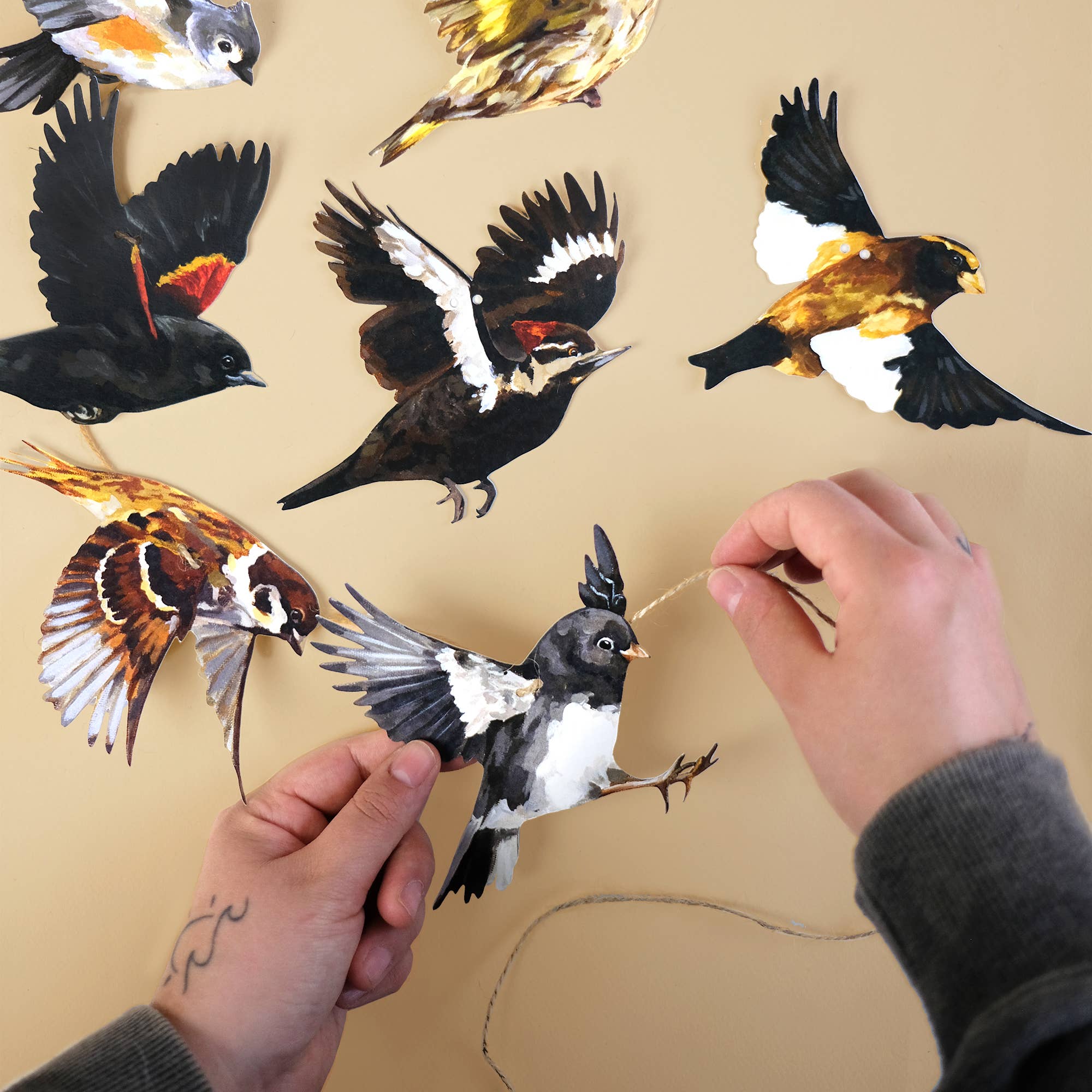 Doro Marcello - Wholesale Bunting/Garland - Canadian Birds Garland | DIY Paper Garland Set | Party Decor4