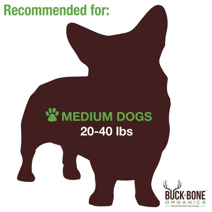 Buck Bone Organics - Wholesale Pet Chew Toy - Dog - Elk Antler Dog Chew Medium Split Double Pack