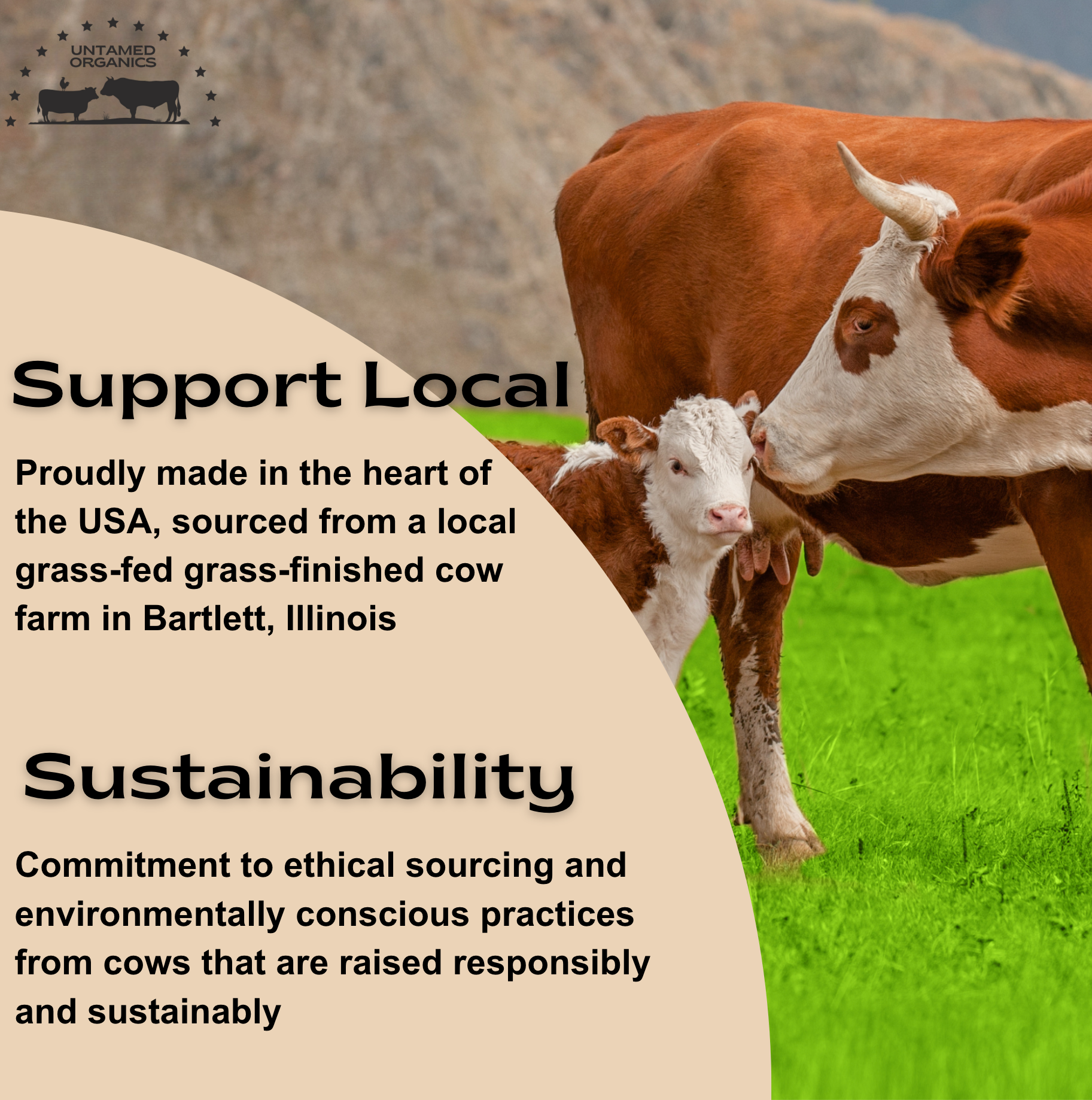 Untamed Organics - Wholesale Verzorgende zalf/balsem/crème - Antischimmel Talg Huidbalsem11