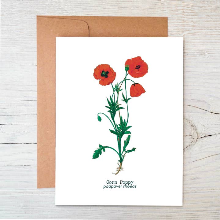 The Raven’s Edge Studio - Vendita all'ingrosso Biglietti di auguri generici - Biglietto Plantable Wildflower | Carta ecologica | Corn Poppy