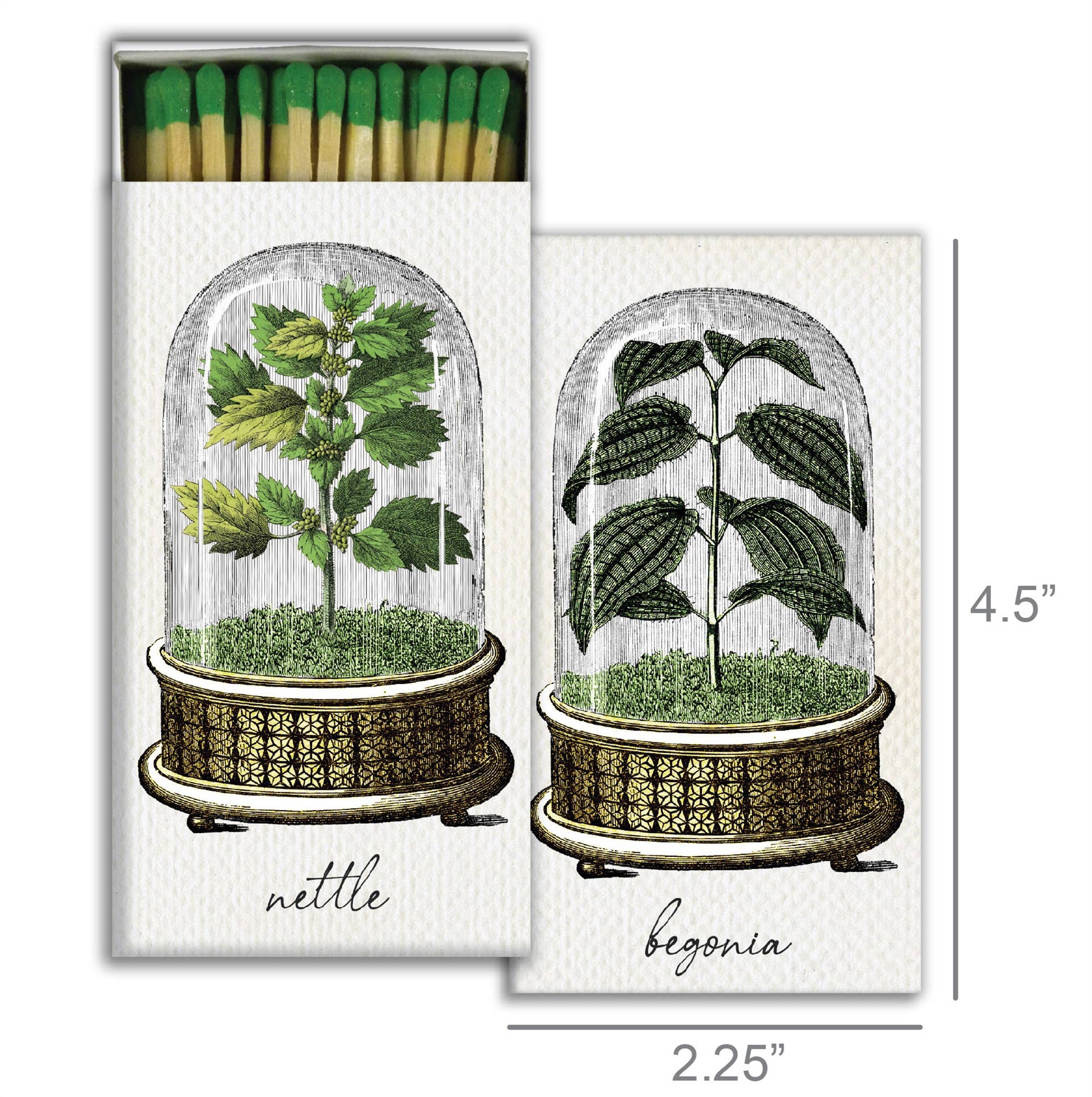 HomArt - Wholesale Matches - Matches - Cloche1