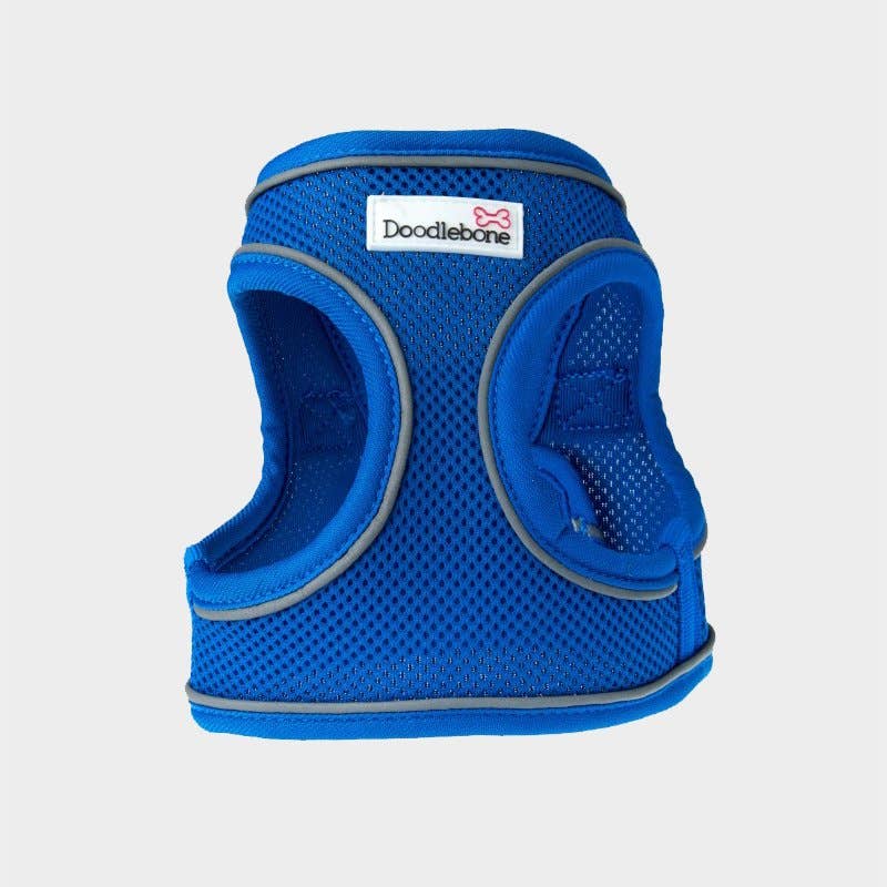 4cats Heimtierbedarf GmbH - Vendita all'ingrosso Pettorina - Cani - Imbracatura Doodlebone® Snappy - 10 colori, 6 misure9