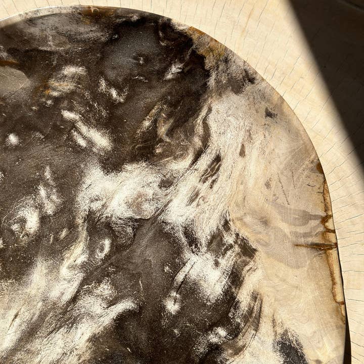 Office Objets - Wholesale Decorative Plate/Dish/Bowl - Very large catchall or dish in petrified wood47