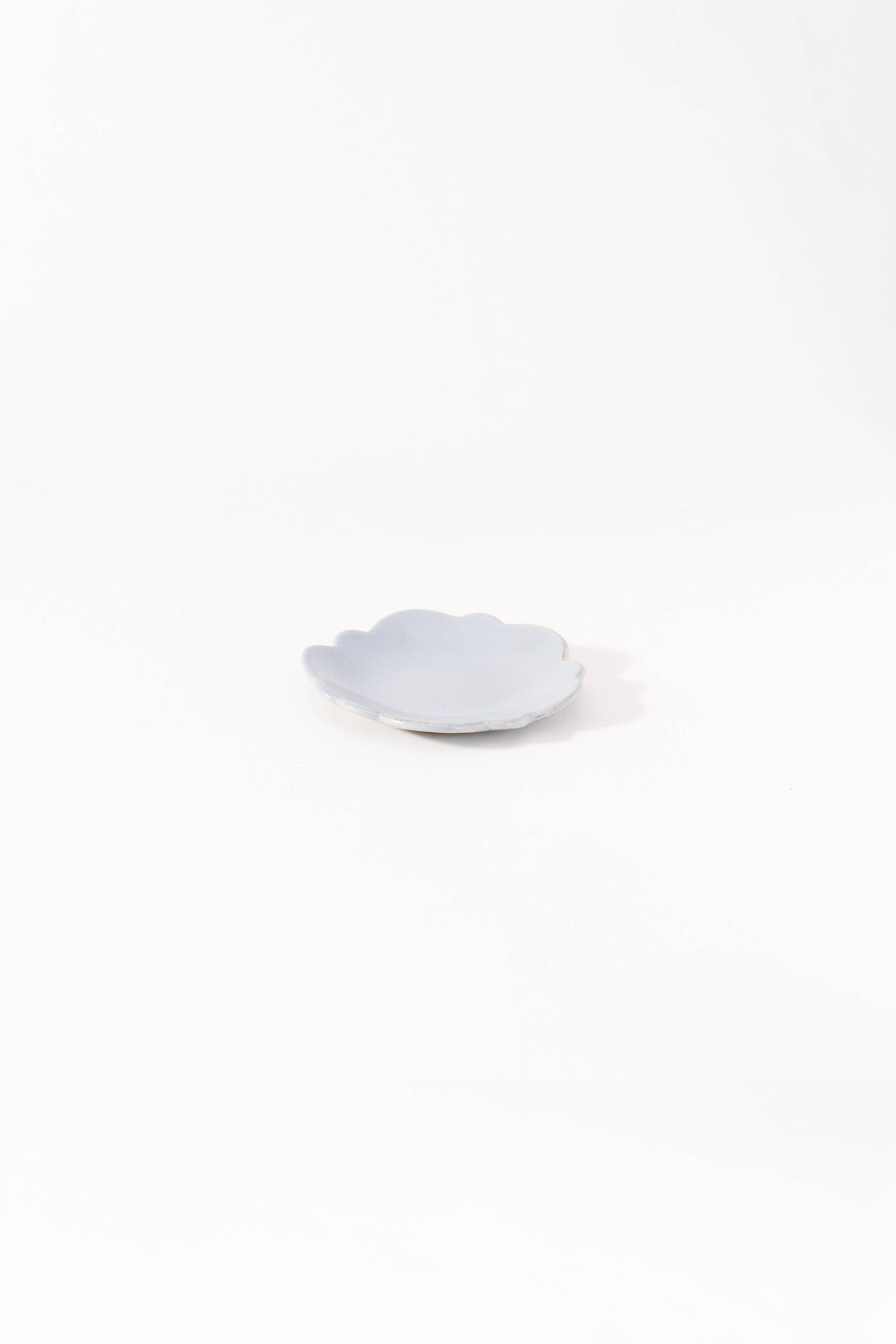 LAKOLE - Wholesale Decorative Plate/Dish/Bowl - Tatara-Zukuri Small Plate Morning Glory6