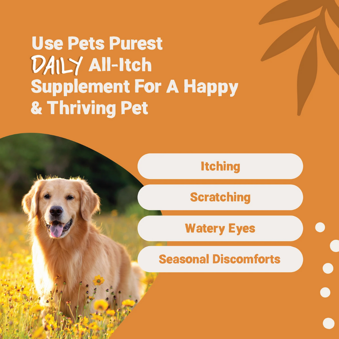 Pets Purest – wholesale Pet supplement – Cat/dog – Daily All-Itch Supplement 300ml3