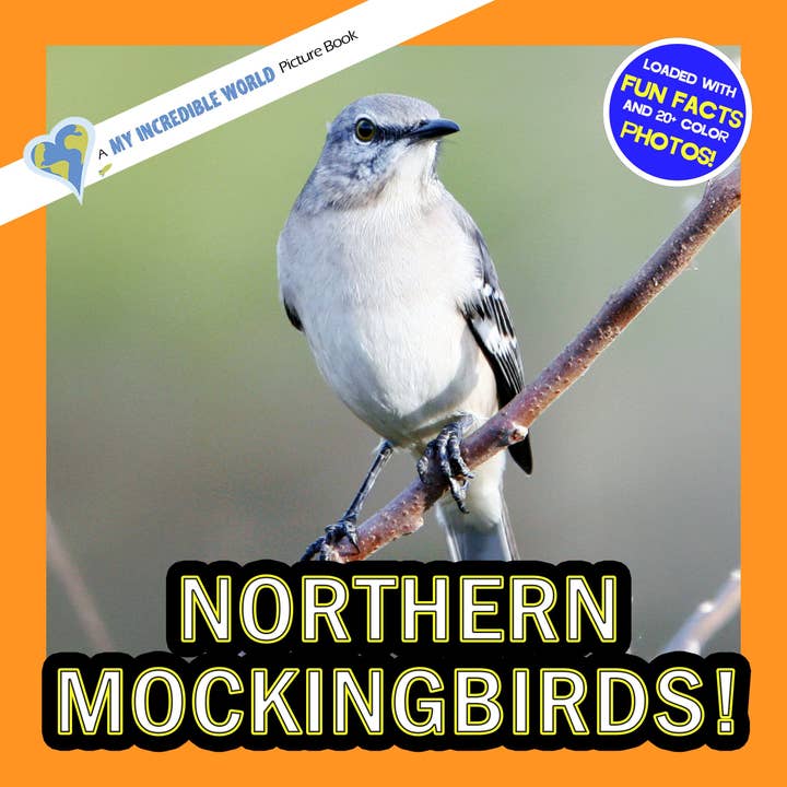 Nordlige Spottefugle! En Min Utrolige Verden Billedbog for Børn for engroshandel hos My Incredible World