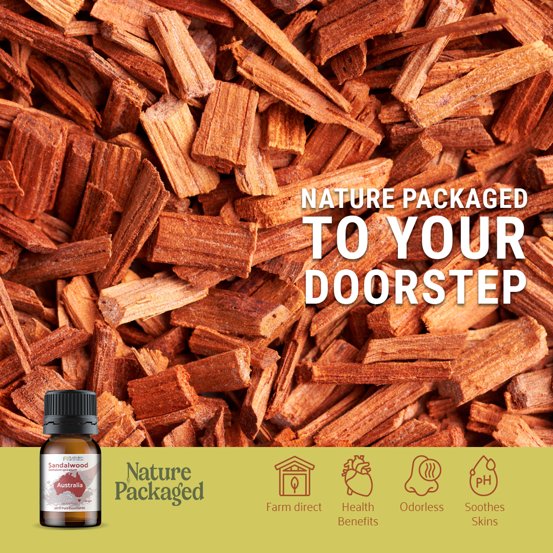 Nature Packaged - Wholesale Essential Oil - Sandalwood Essential Oil - 100% Pure - Farm-Direct Sourcing3
