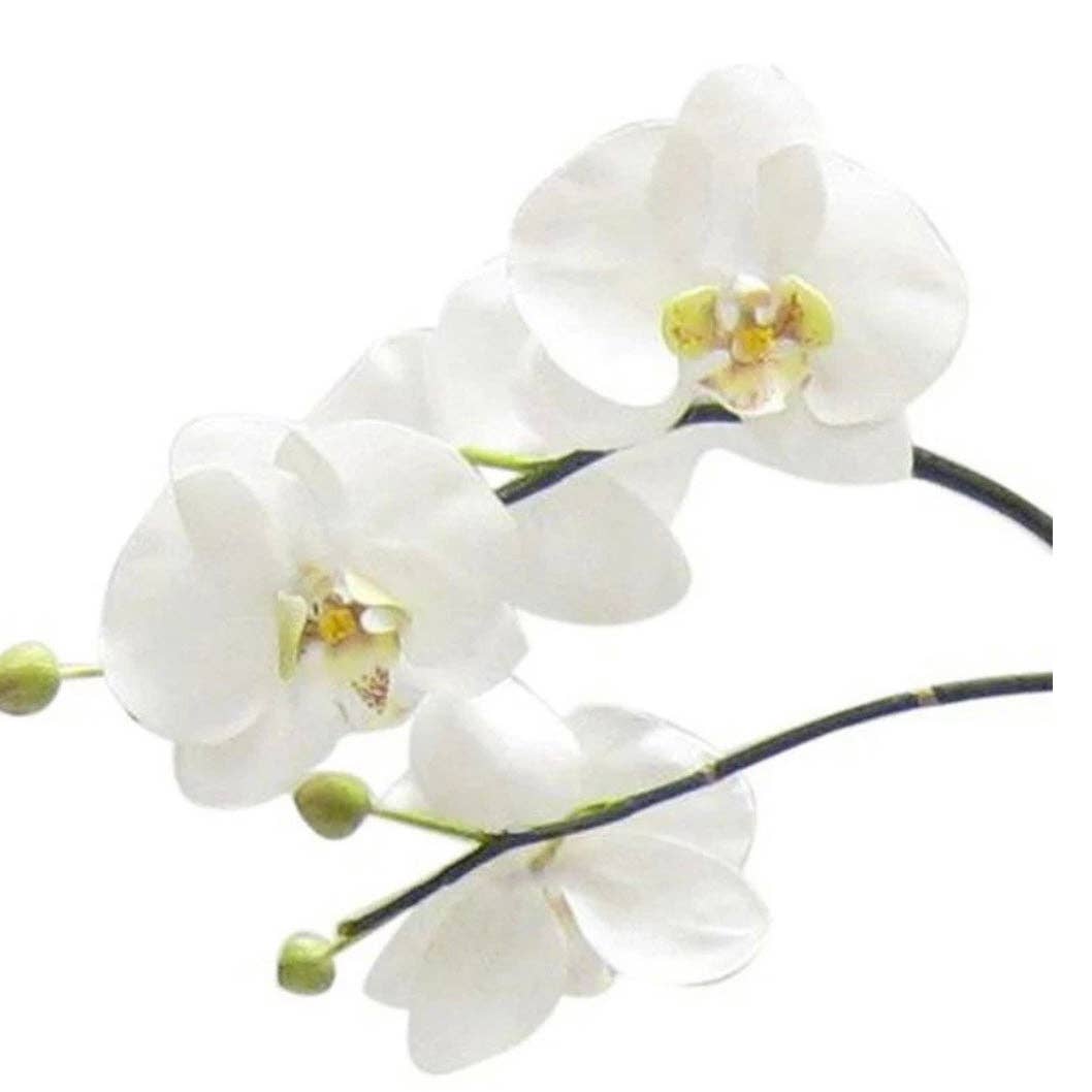 Bougainvillea – wholesale Artificial flowers – [RGVHS-ORGR] Round Glass Vase Hammered Small - Artificial Orchid White & Green1