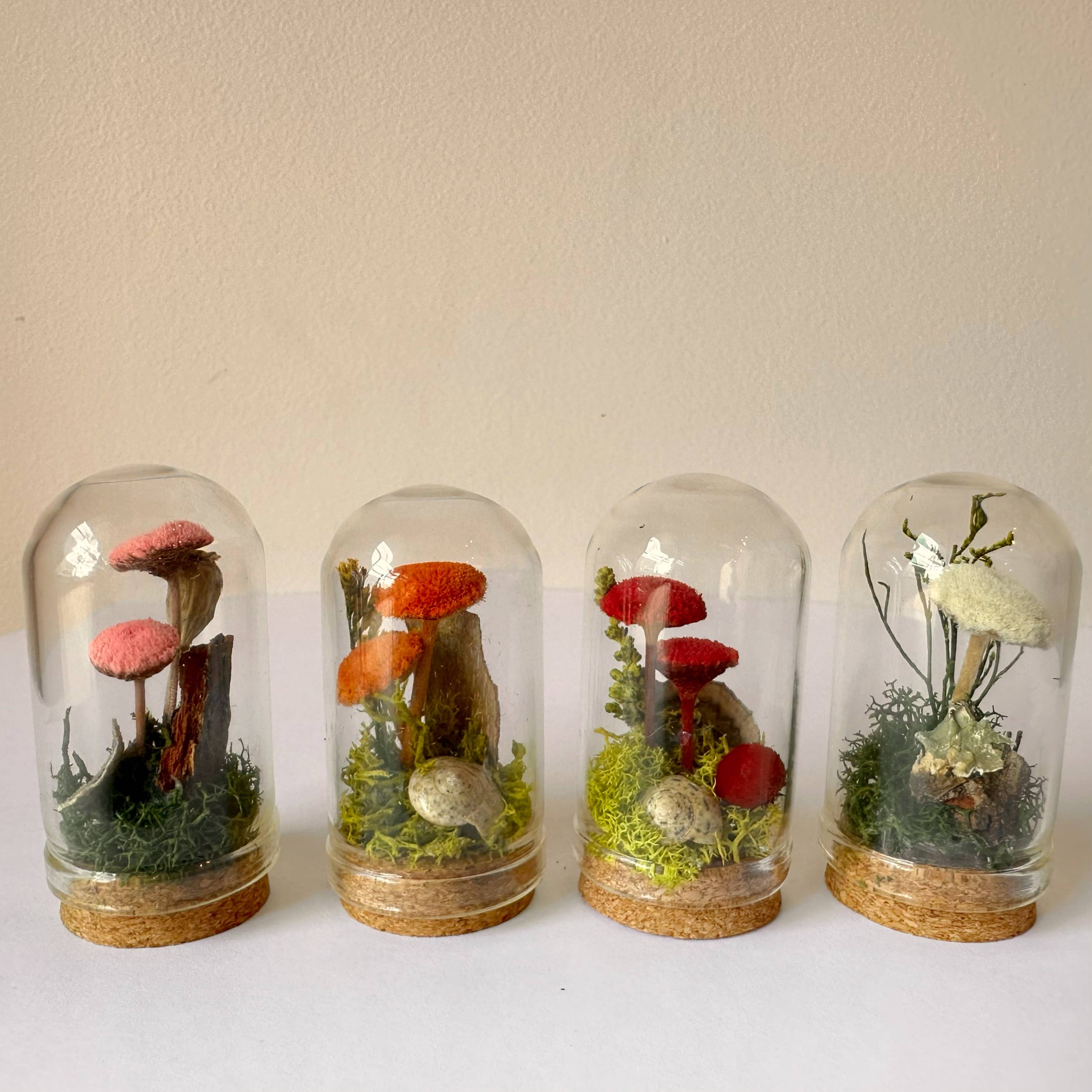 CA Studios - Wholesale Terrarium - Mushroom Mix Terrarium Glass Cloche Cork Jar & Florals0