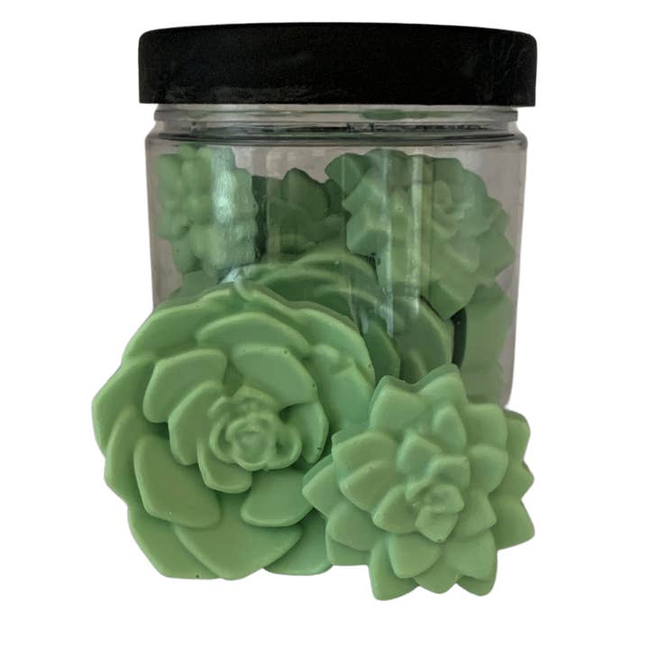 Plunk Soap - Wholesale Party Favor - Pastel Succulent Soaps in a Jar: Party Favors | Unique Gift