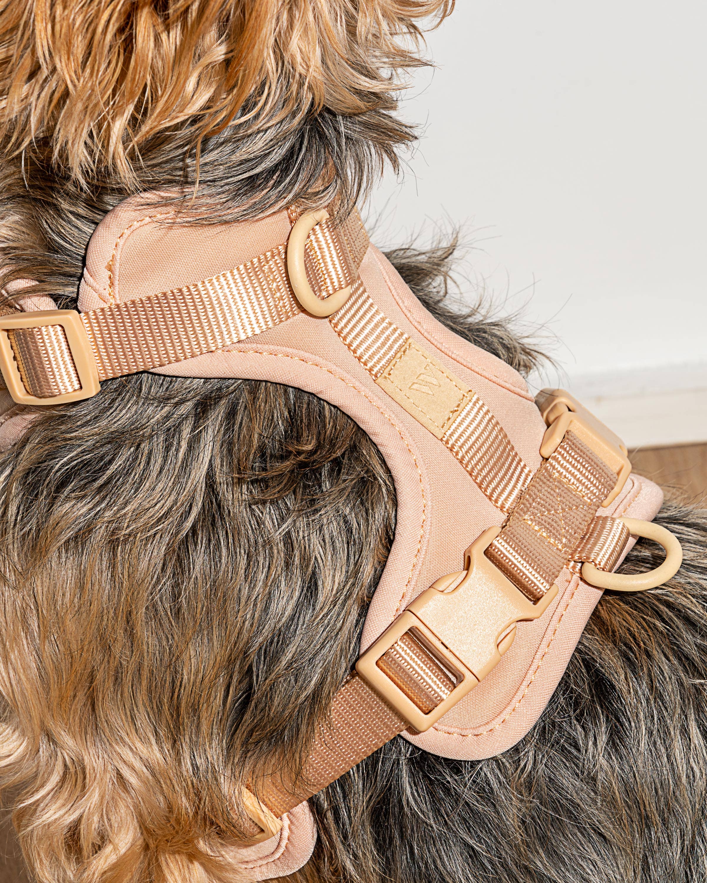 Wild One - Wholesale Pet Harness - Dog - Harness37