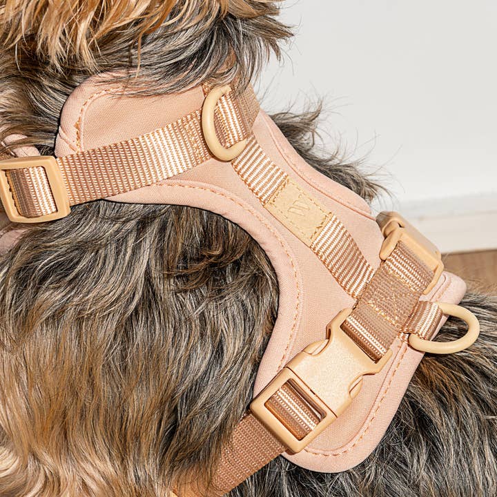 Wild One - Wholesale Pet Harness - Dog - Harness37