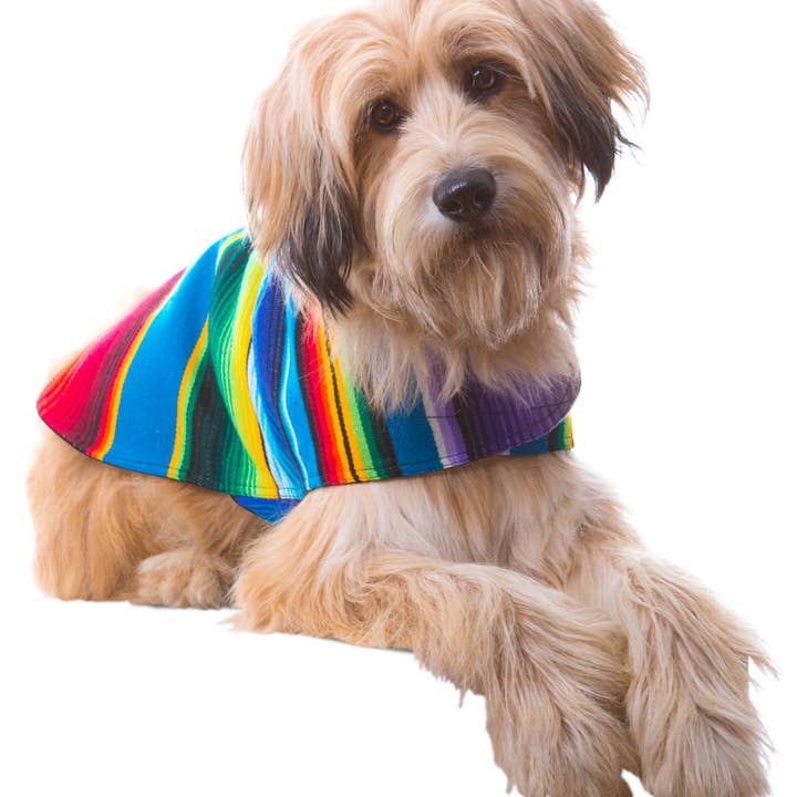 Baja Ponchos - Wholesale Pet Poncho - Dog - Dog Poncho From Mexican Serape Blanket - Blue6