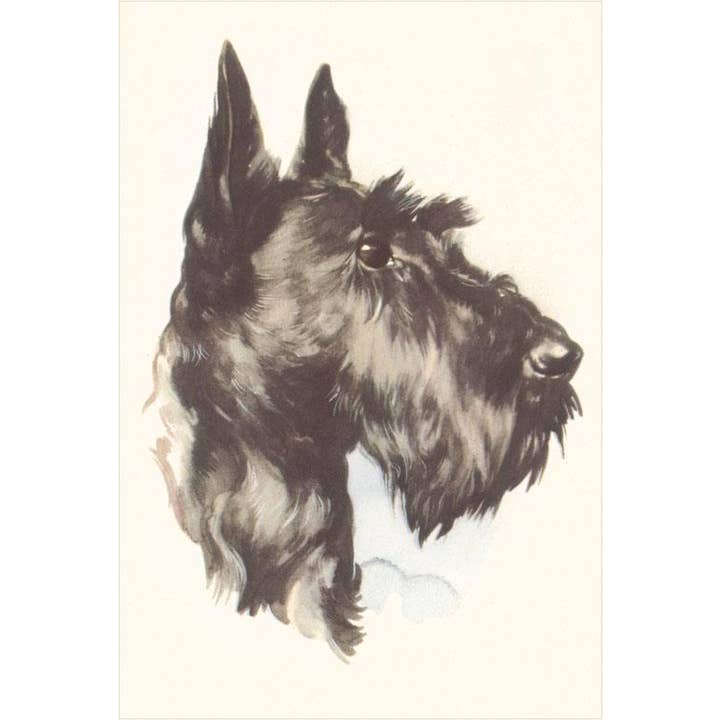 Found Image Press - Wholesale Stationery/Notecard Set - Greeting Card DG-109 Scottie Dog