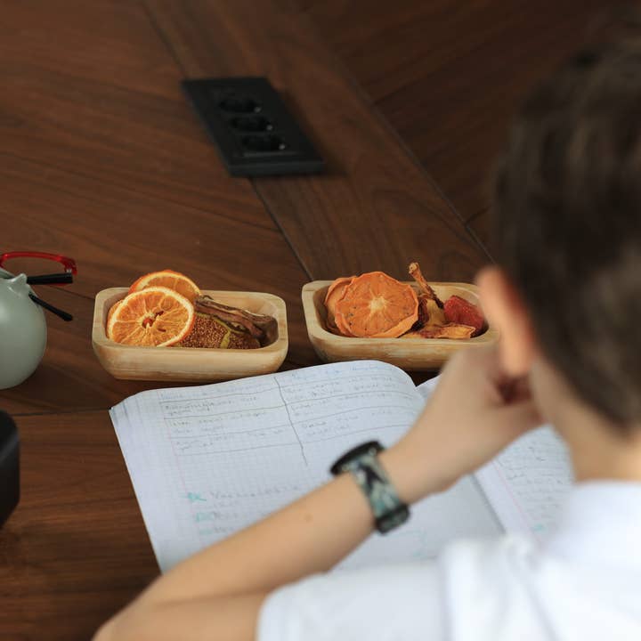 WestShine – Großhandel Getrocknete/dehydrierte Früchte – Mix-Kraftbox für getrocknete Früchte15