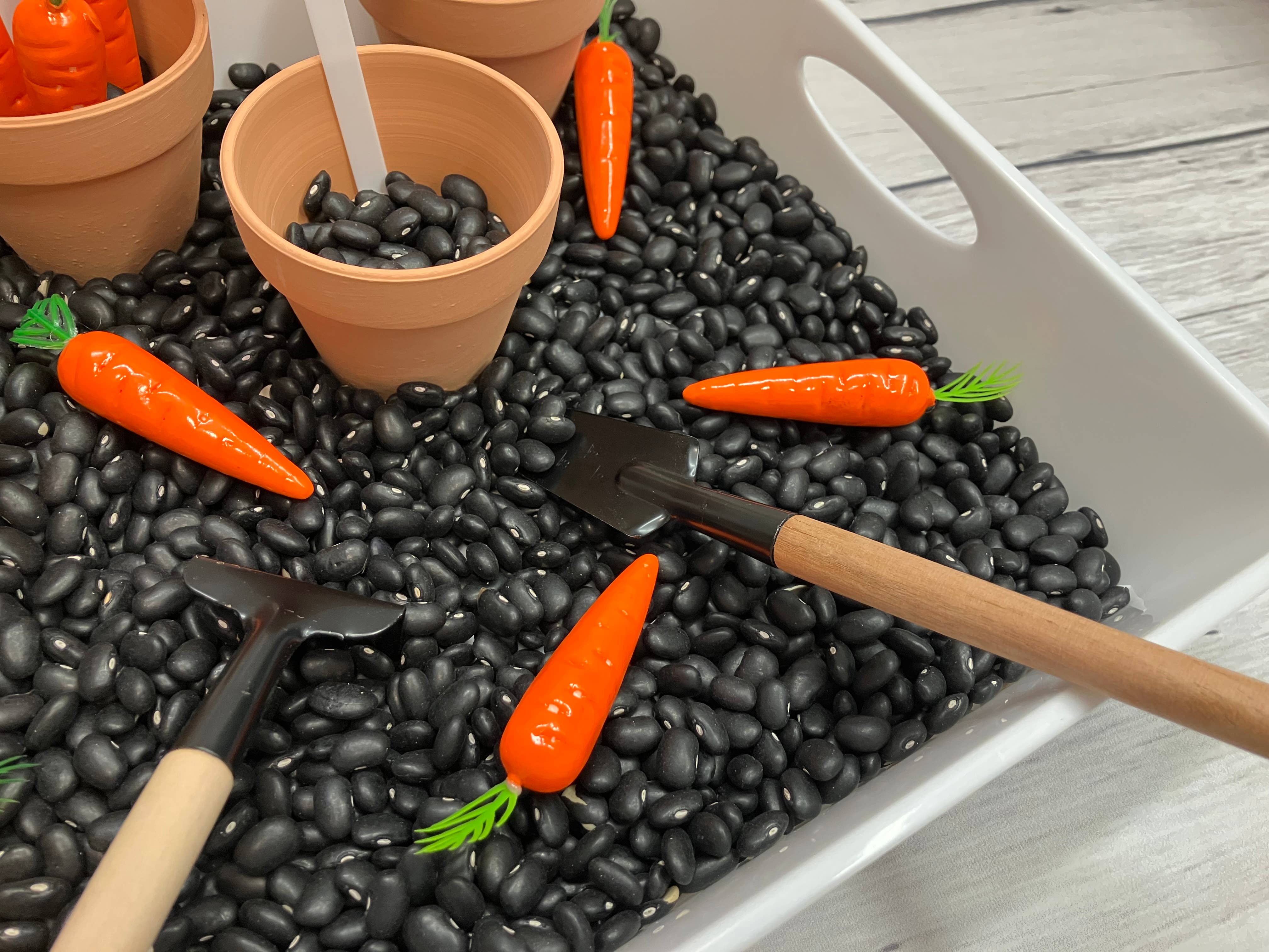 Curious Learning and Sensory – wholesale Leksaksset - Barn – Trädgårdssensorisk låda, Sensoriska lådor för barn, Trädgårdssensorisk2