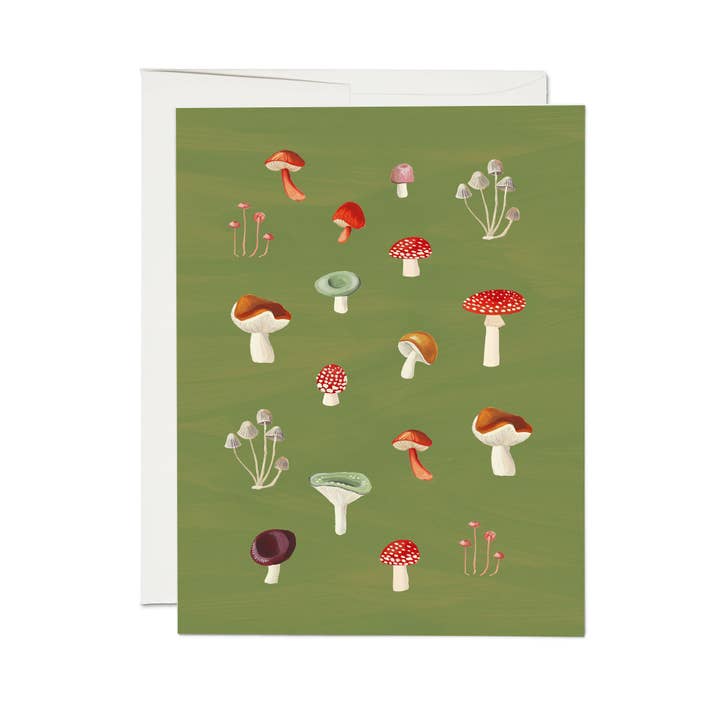 Champignon-Medley für den Großhandel von Hen Paper Co.