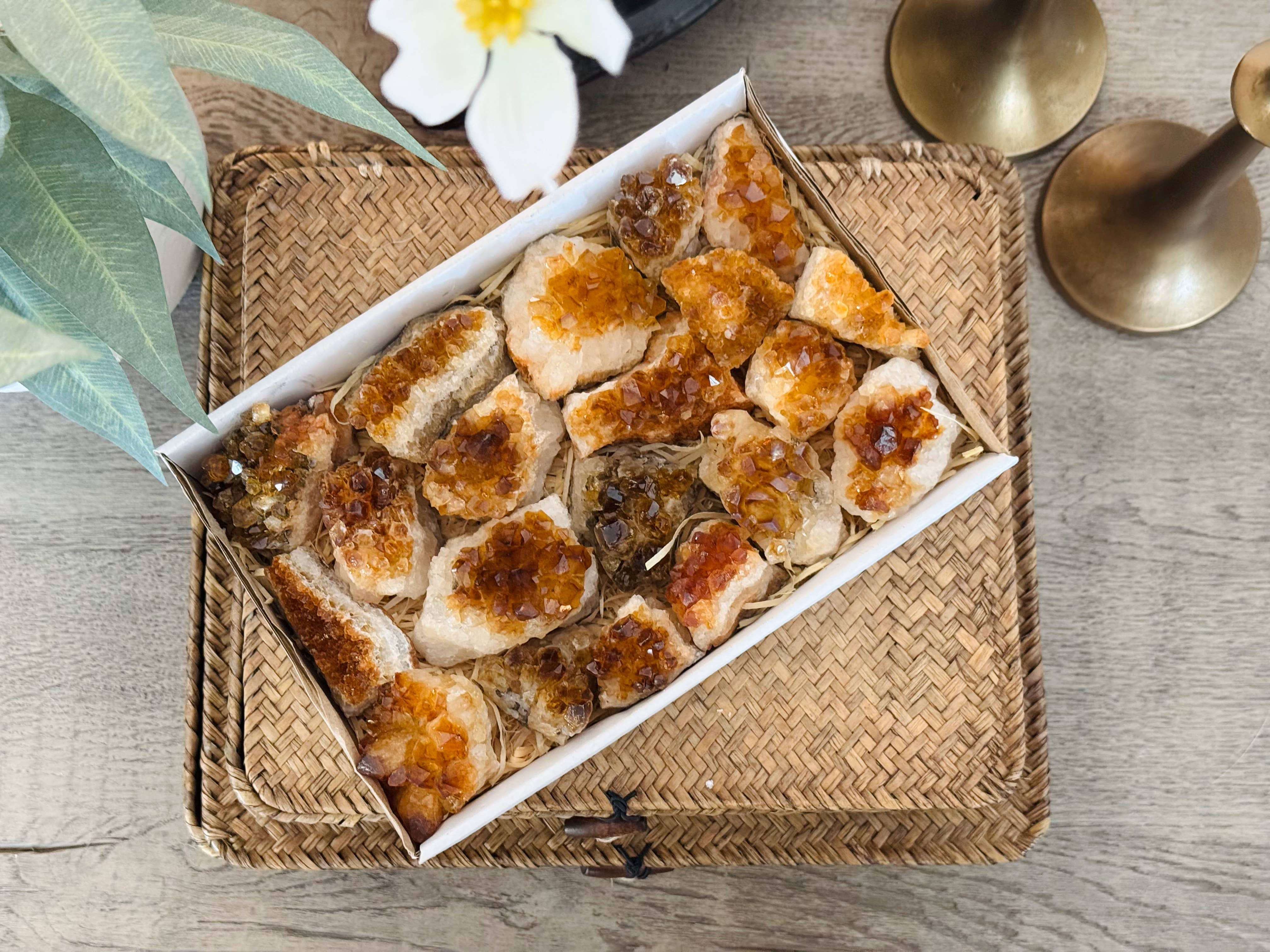 Yellow Tree Company - Wholesale Spiritual Stone/Crystal - Citrine Cluster Flat – 18-20 Pieces  Raw Citrine Crystals4