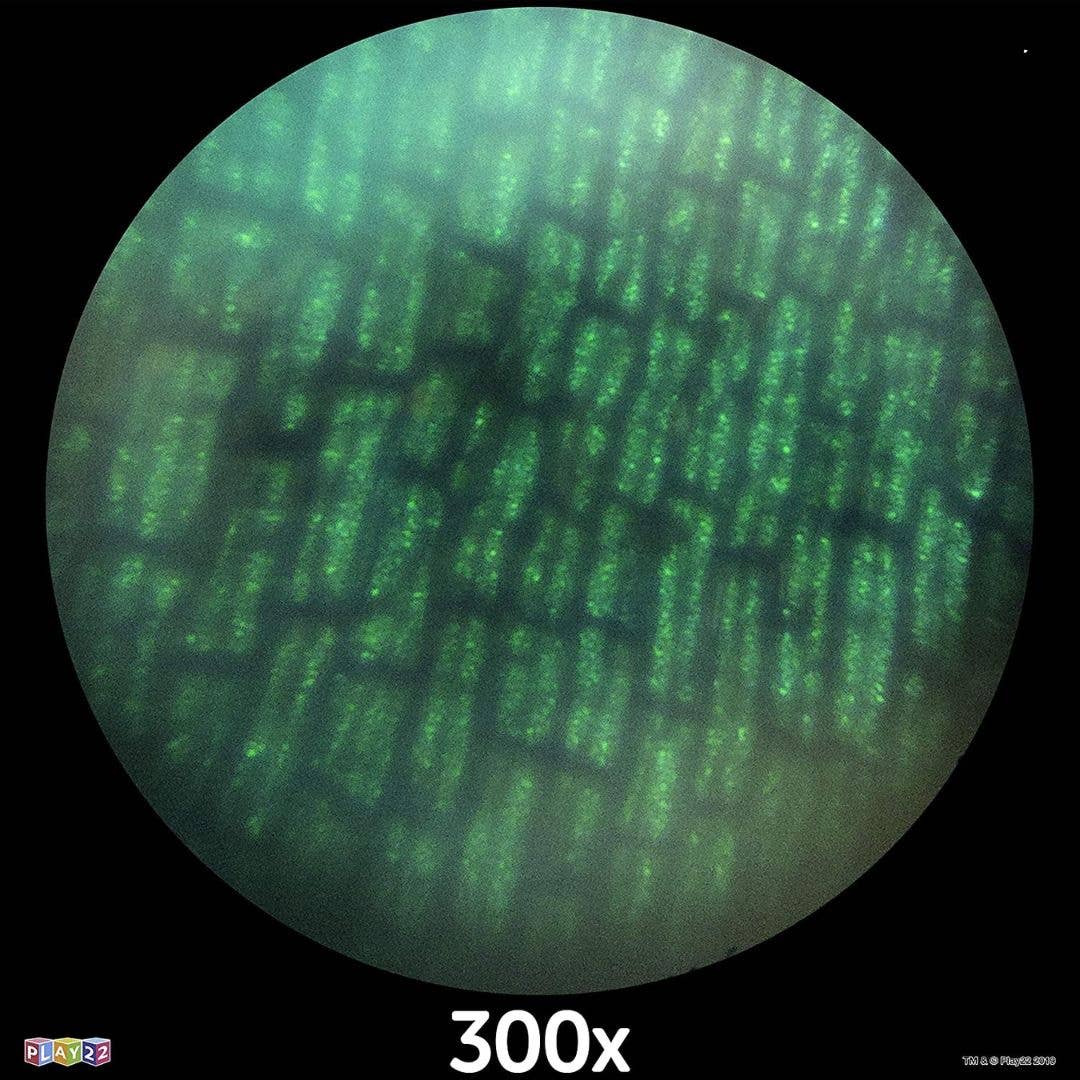 Play22 – wholesale Toy set – Kids – 50PCs Microscope Kit Set in Carrying Box for Kids7