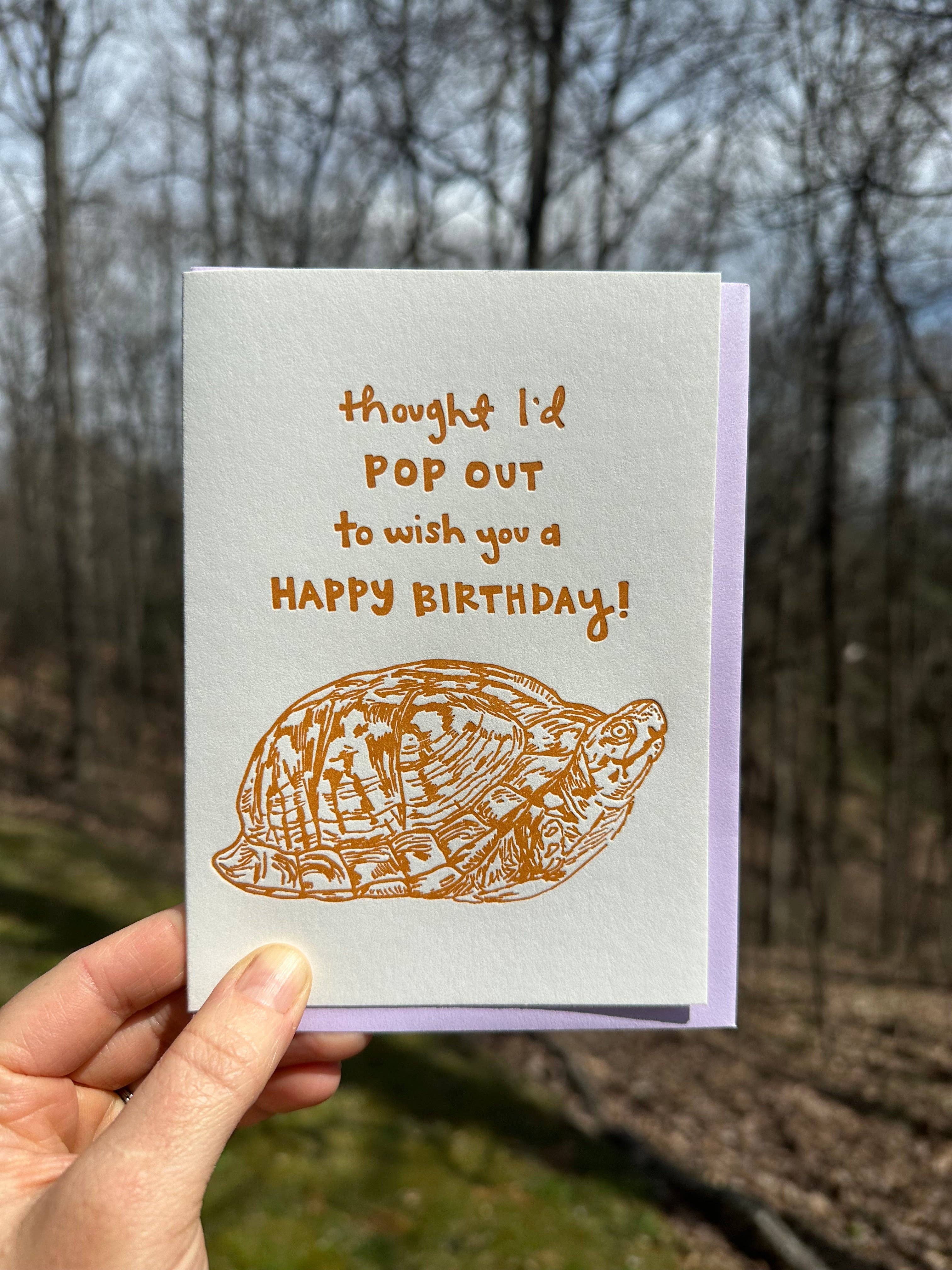 Macon York Press - Wholesale Birthday Card - Birthday Letterpress Greeting Card: Box Turtle1