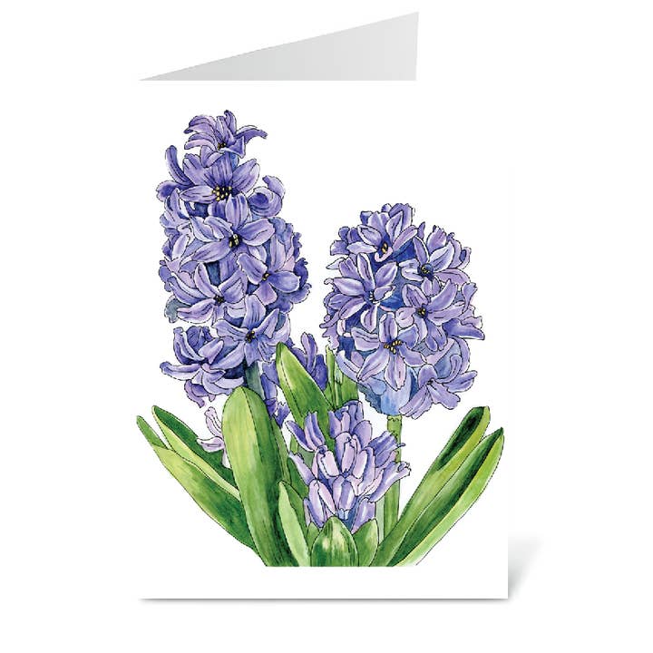 Hyacinth Card for wholesale by Bobbi Lee Wilson Art Cards