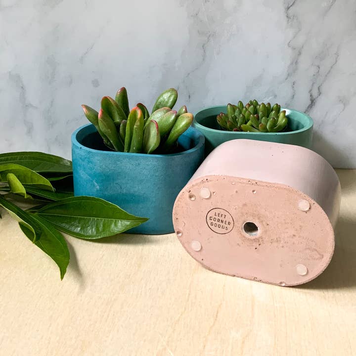 Left Corner Goods - Wholesale Plant Pot - Succulent Oval Concrete Planter8