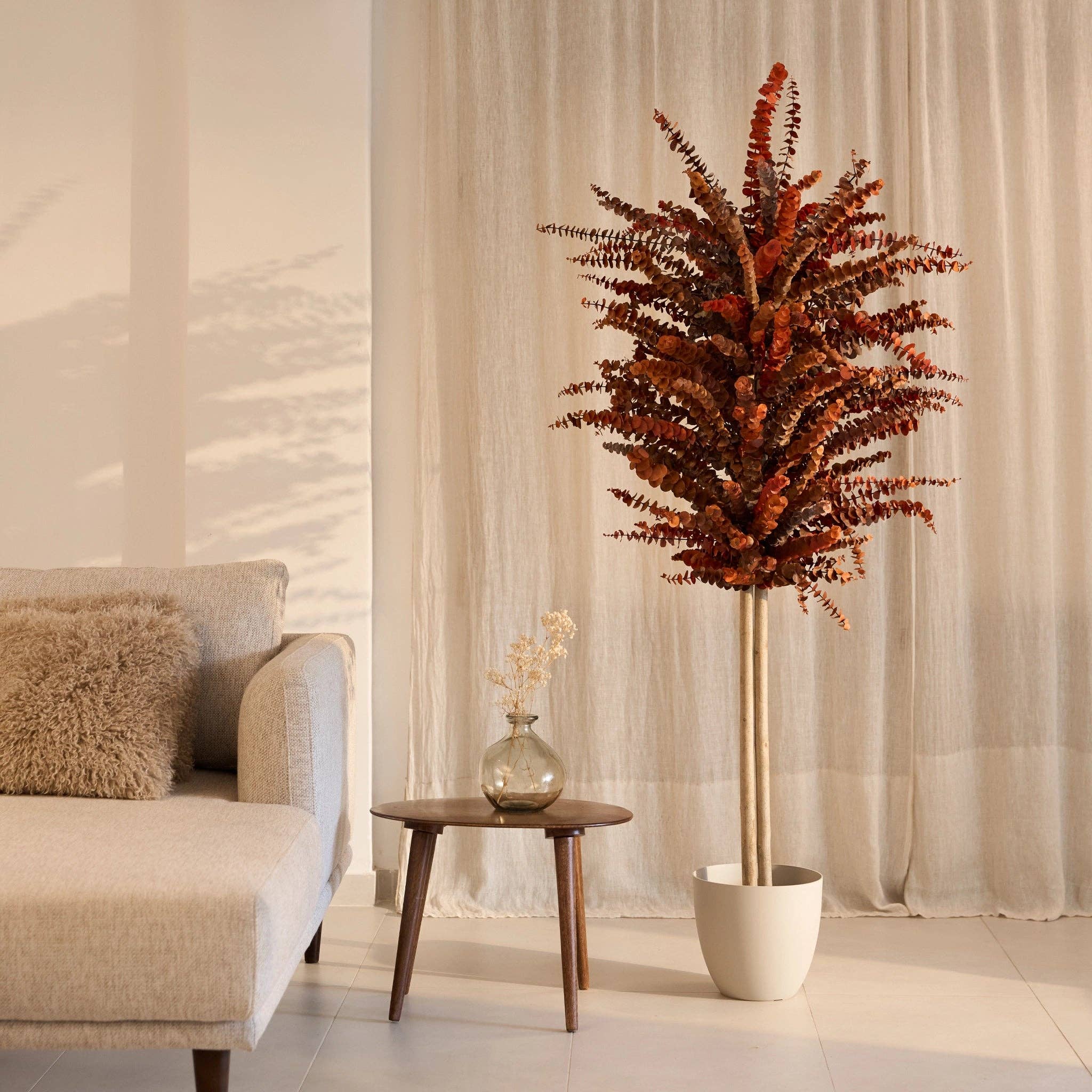 Maia Shop - Venta al por mayor Plantas artificiales - Árbol Eucalipto Preservado Baby0