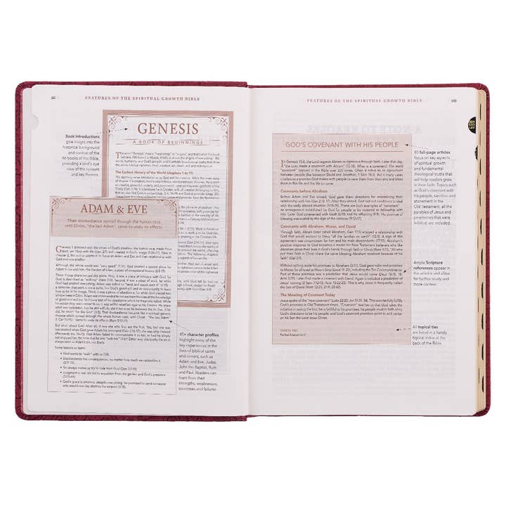 Christian Art Gifts - Wholesale Book - Adult - NLT, The Spiritual Growth Bible Faux Leather, Berry