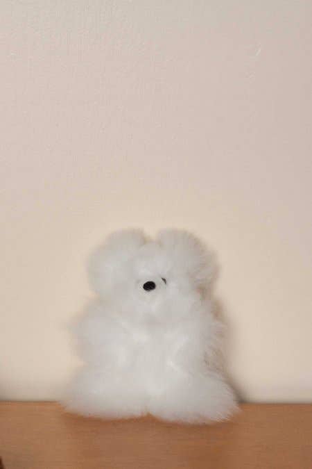 Assorted Colors Alpaca Fur Teddy Bears Stuffed Toy for wholesale on Faire3